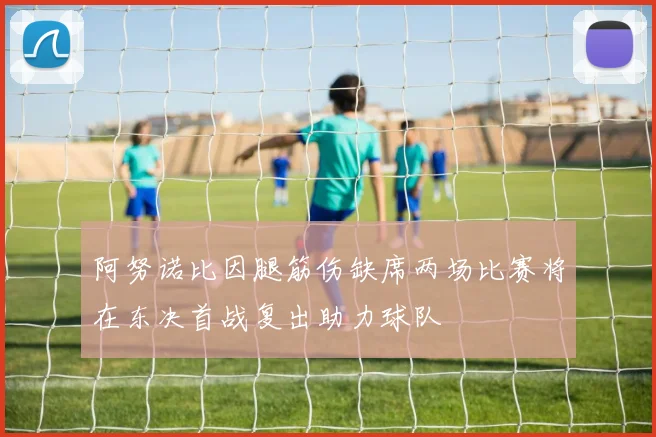 阿努诺比因腿筋伤缺席两场比赛将在东决首战复出助力球队